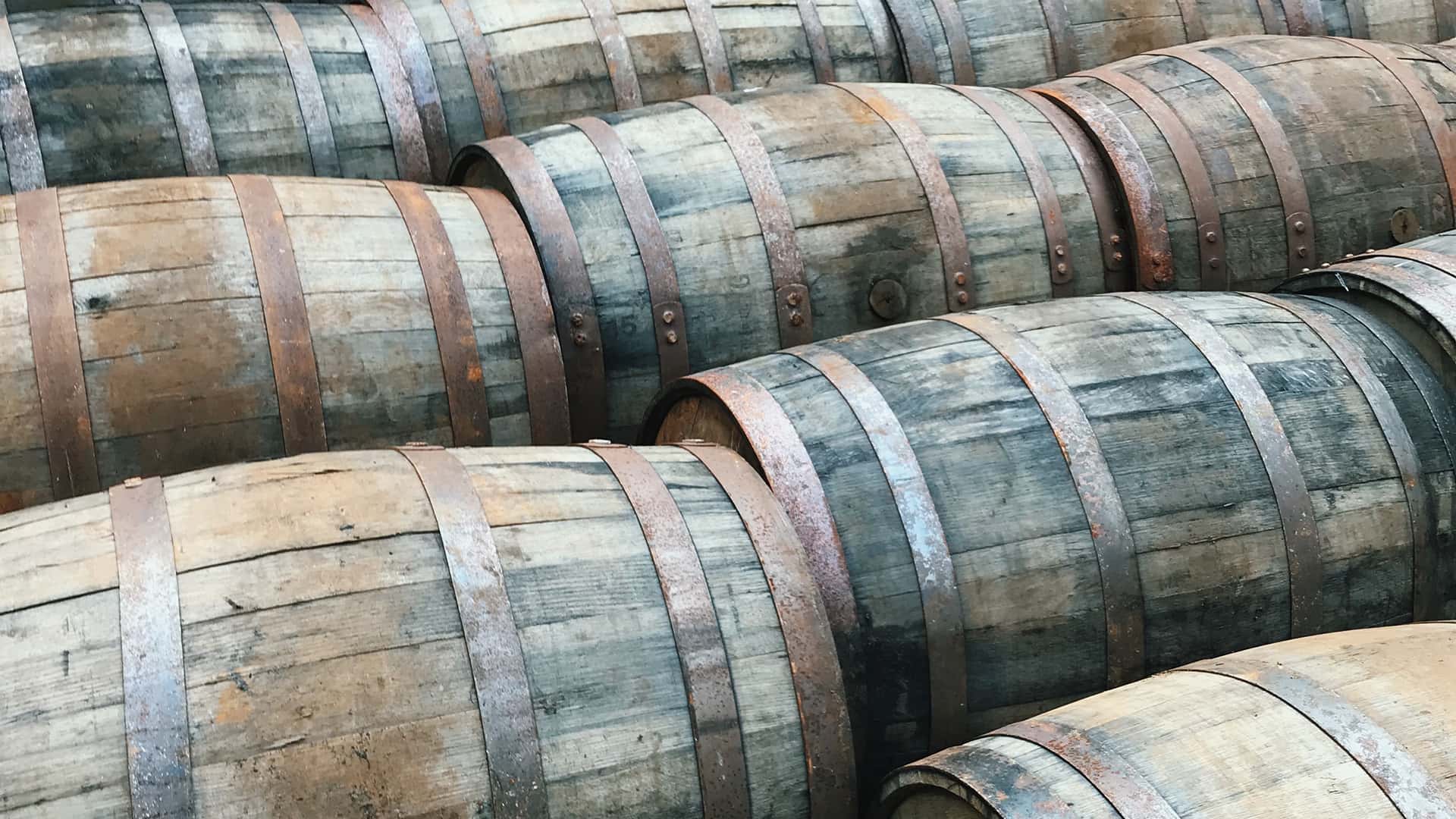 Guided visit to a Whiskey Distillery